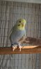 DSC_2154.JPG