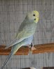 DSC_2133.JPG