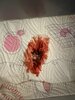IMG_0438.jpeg