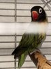 IMG_3697.jpeg