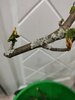 IMG_20260427_054124.jpg