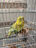 IMG_20260427_074542.jpg