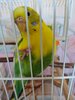 IMG_20260428_081448.jpg