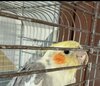 IMG_0546.jpeg