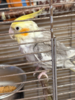 IMG_0550.png