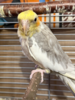 IMG_0551.png