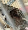 IMG_2936.jpeg