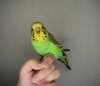 DSC_2926.JPG