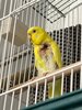 IMG_1537.jpeg