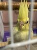 IMG_1512.jpeg
