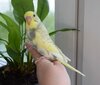 DSC_3058.JPG