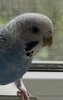 IMG_E5625.JPG