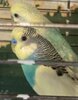 YnuKqKsPHvoTPpbdS195ovhFv0IyPRuimTVTr71AGrG_C6WHuXH1d-At_tE9s2GlsPPqSr5vN1YN0SX78ElLKnvp.jpg