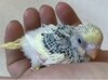 LY0Uudz5SRwCY-WvsDCDpnMlXhayi0cmWIWSaN0VuSDUo1b_LlBMImXiOGUZspywdbIaz7_2g1DUhFiF45tjzyZV.jpg
