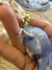 IMG_3077.jpeg