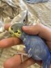 IMG_3076.jpeg