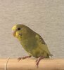 IMG_5662.jpeg