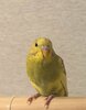 IMG_5673.jpeg