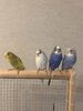 IMG_5664.jpeg