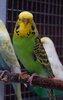 DSC_3198.JPG