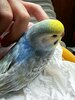 IMG_20260817_105640.jpg