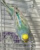 IMG_20260822_174209.jpg