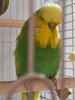 IMG_20260729_090923_514.jpg