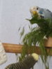 IMG_20160518_175254.jpg