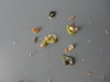 DSC02845.JPG