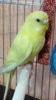 IMG_20160520_125456.jpg