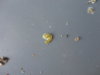 DSC02850.JPG