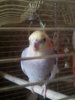 20160521_142111.jpg