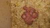 IMG-20160522-WA0046.jpg