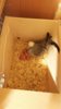 IMG-20160522-WA0044.jpg