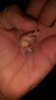 IMG_20160521_200847.jpg