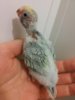 20160523_165557.jpg