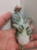 20160523_165657.jpg