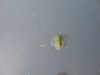 DSC02915.JPG