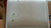 20160524_090005.jpg
