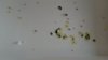 20160524_090011.jpg