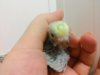 20160524_130850.jpg