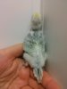 20160524_130732.jpg