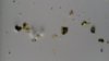 20160524_171100.jpg