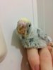 20160525_061355.jpg