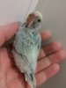 20160525_061244.jpg