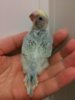 20160525_061235.jpg