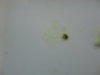 DSC02923.JPG
