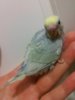 20160527_071057.jpg
