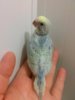 20160527_070943.jpg