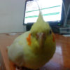 DSC00813.jpg